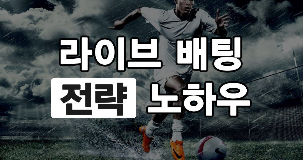 라이브배팅 전략 노하우